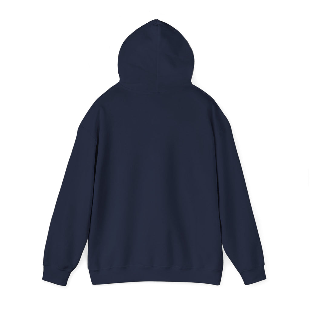 The Shroud Hoodie — Full Image