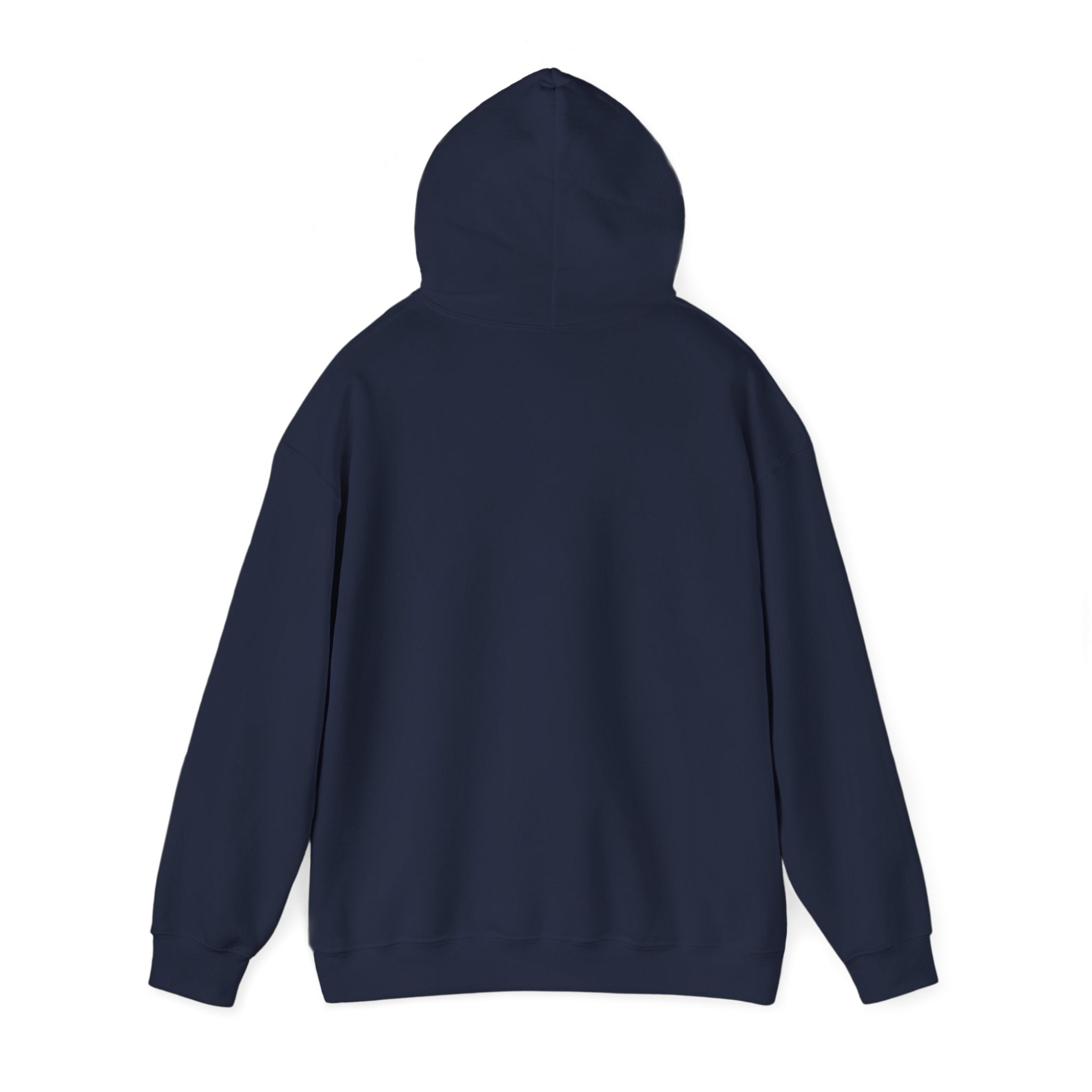 The Shroud Hoodie — Full Image