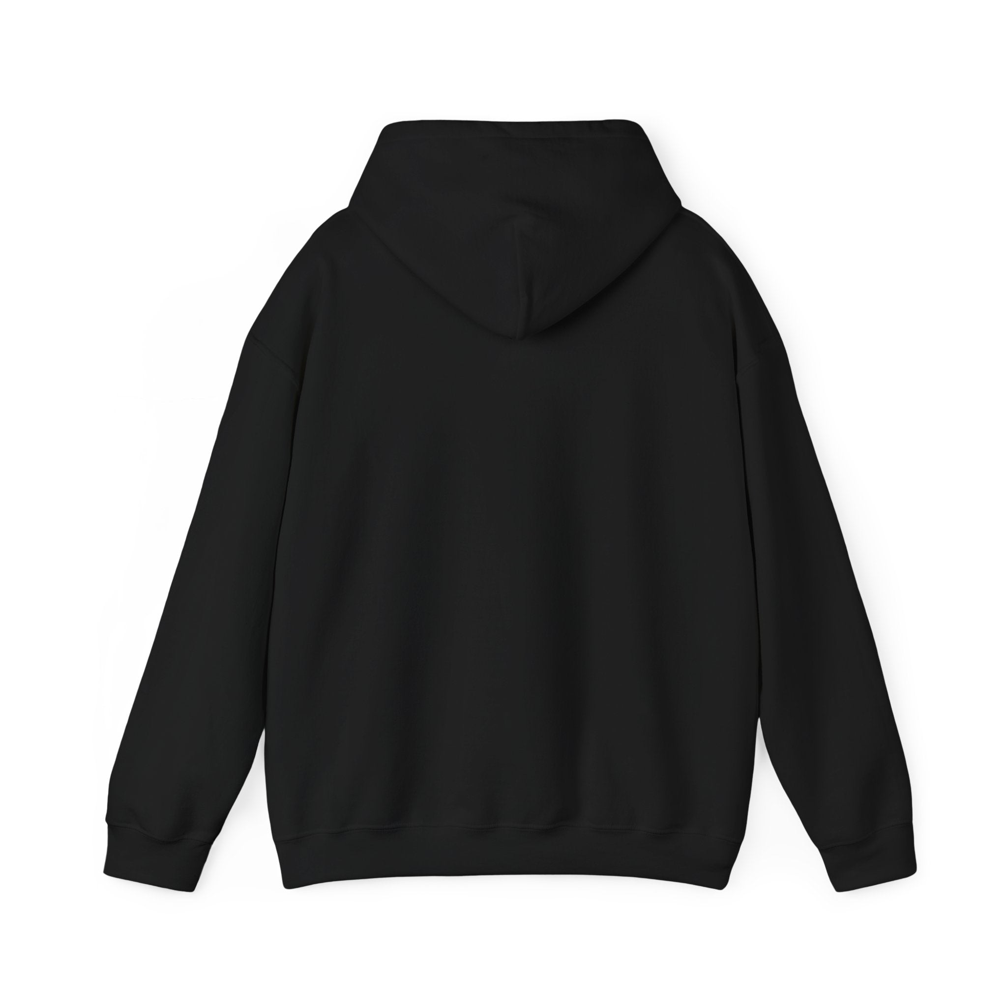 The Shroud Hoodie — Full Image