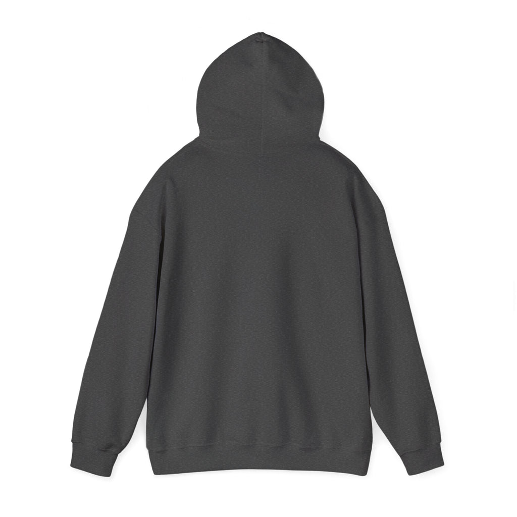 The Shroud Hoodie — Full Image