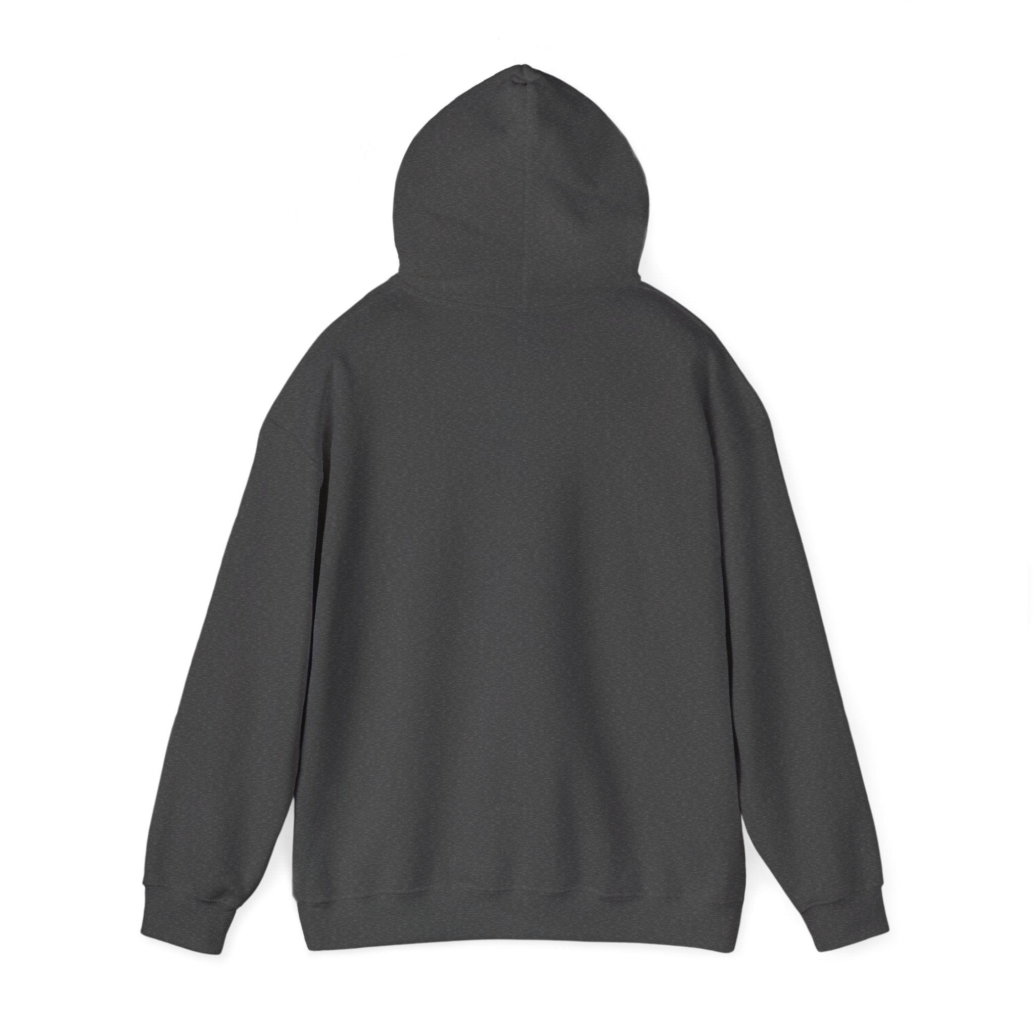 The Shroud Hoodie — Full Image