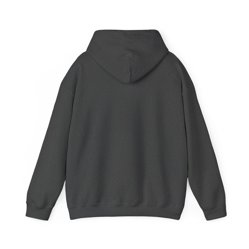 The Shroud Hoodie — Full Image