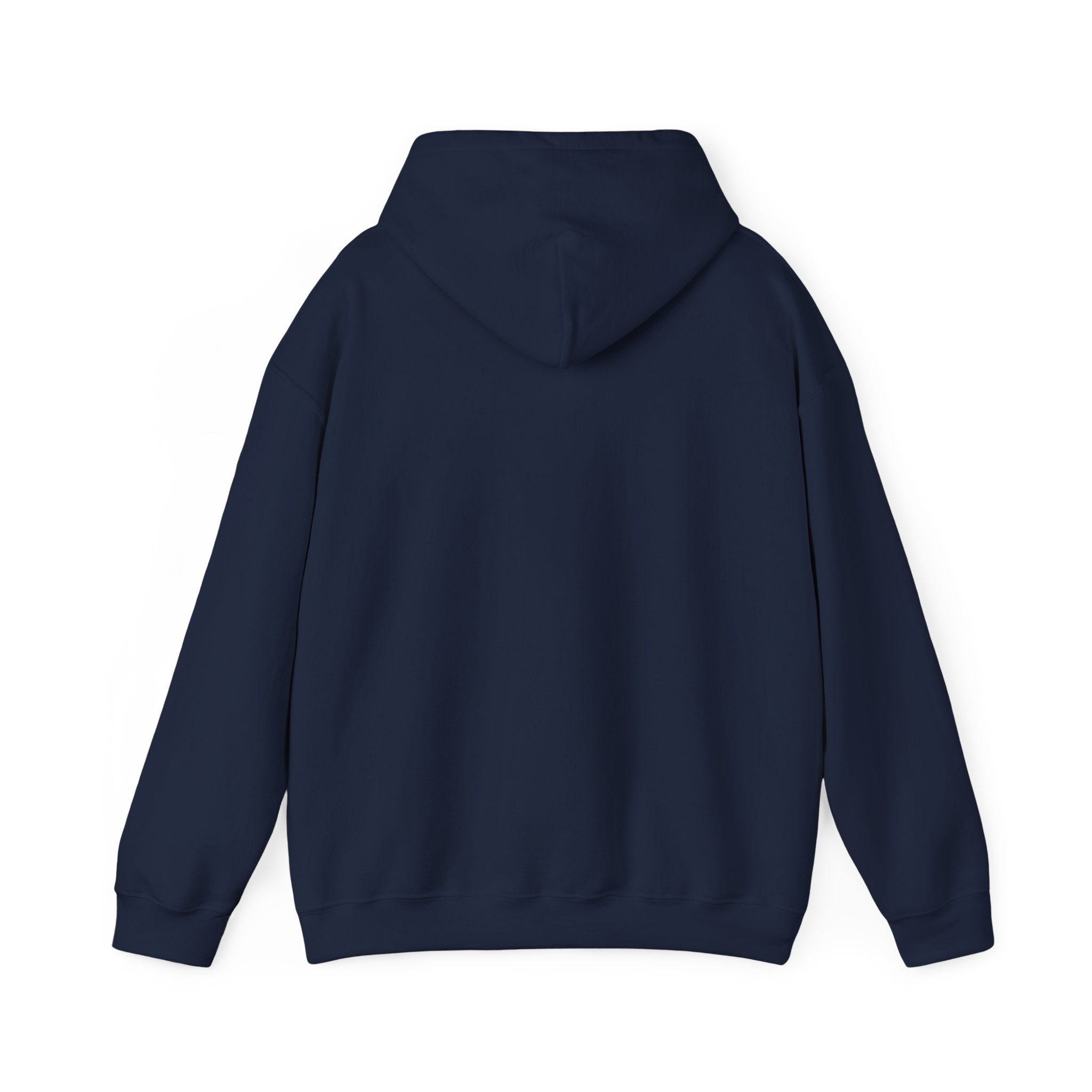 The Shroud Hoodie — Full Image